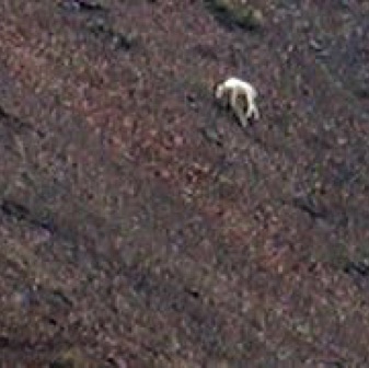 Screen Shot 2016-07-13 at 12.31.33 AM.jpg